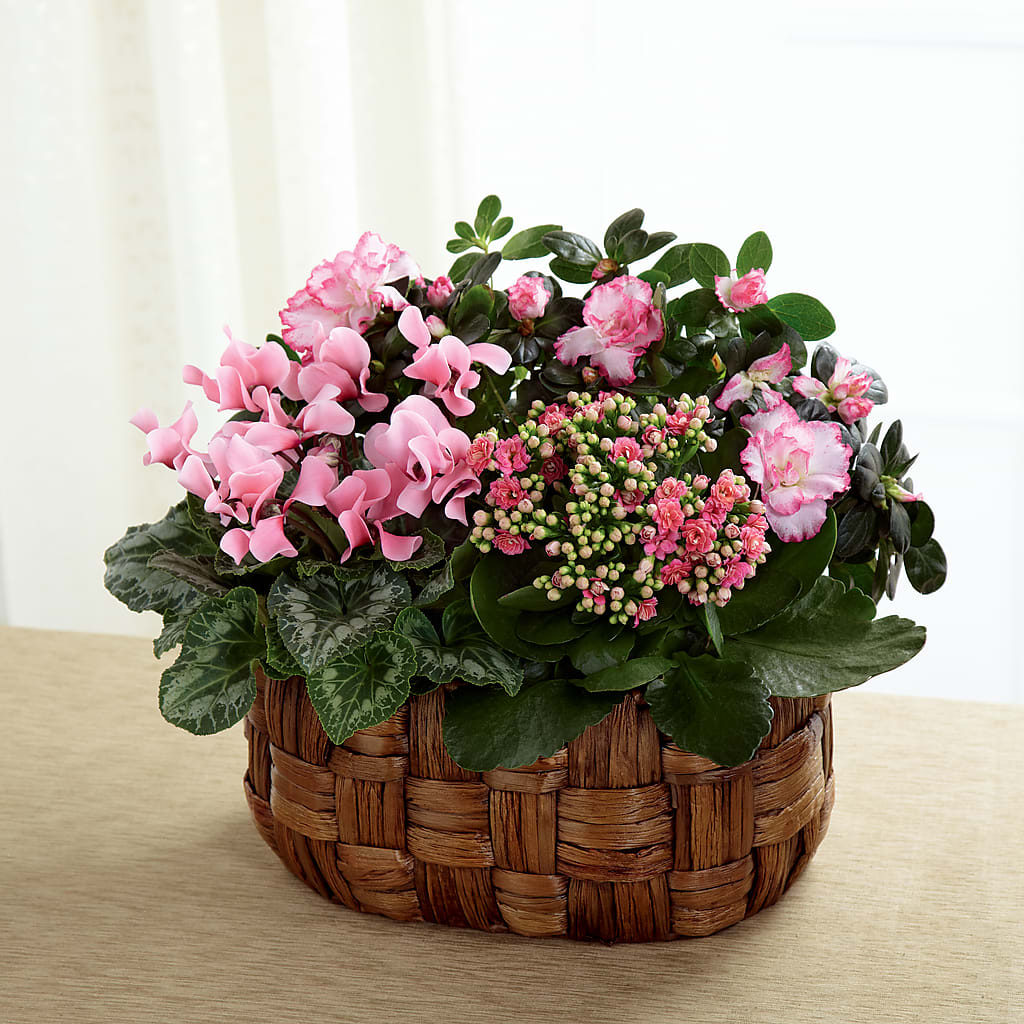 Pink Assortment – Dynamic Flowers Of Royal Oak, Royal Oak MI