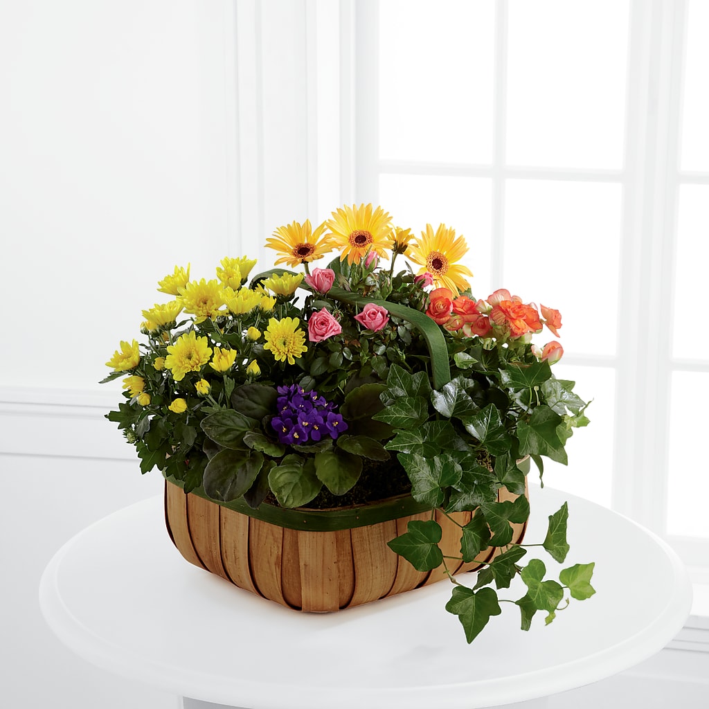 Gentle Blossoms Basket – Dynamic Flowers Of Royal Oak, Royal Oak MI