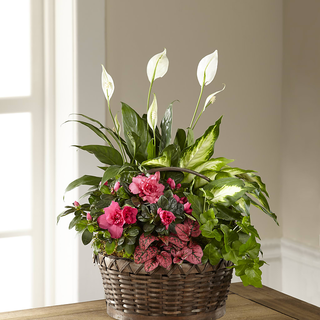 Dream in Pink Dishgarden – Dynamic Flowers Of Royal Oak, Royal Oak MI