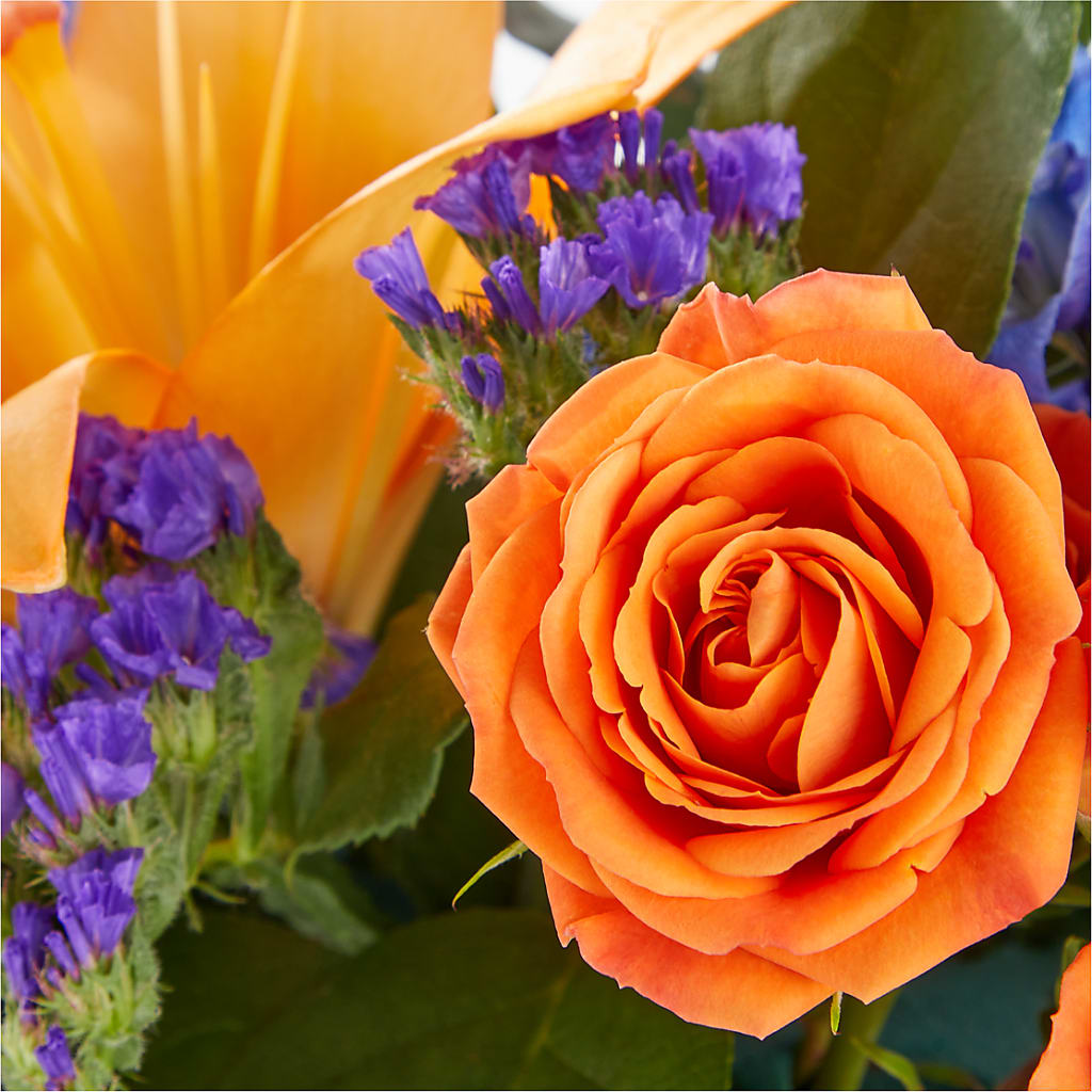 Radiant Citrus Box Bouquet – Dynamic Flowers Of Royal Oak, Royal Oak MI