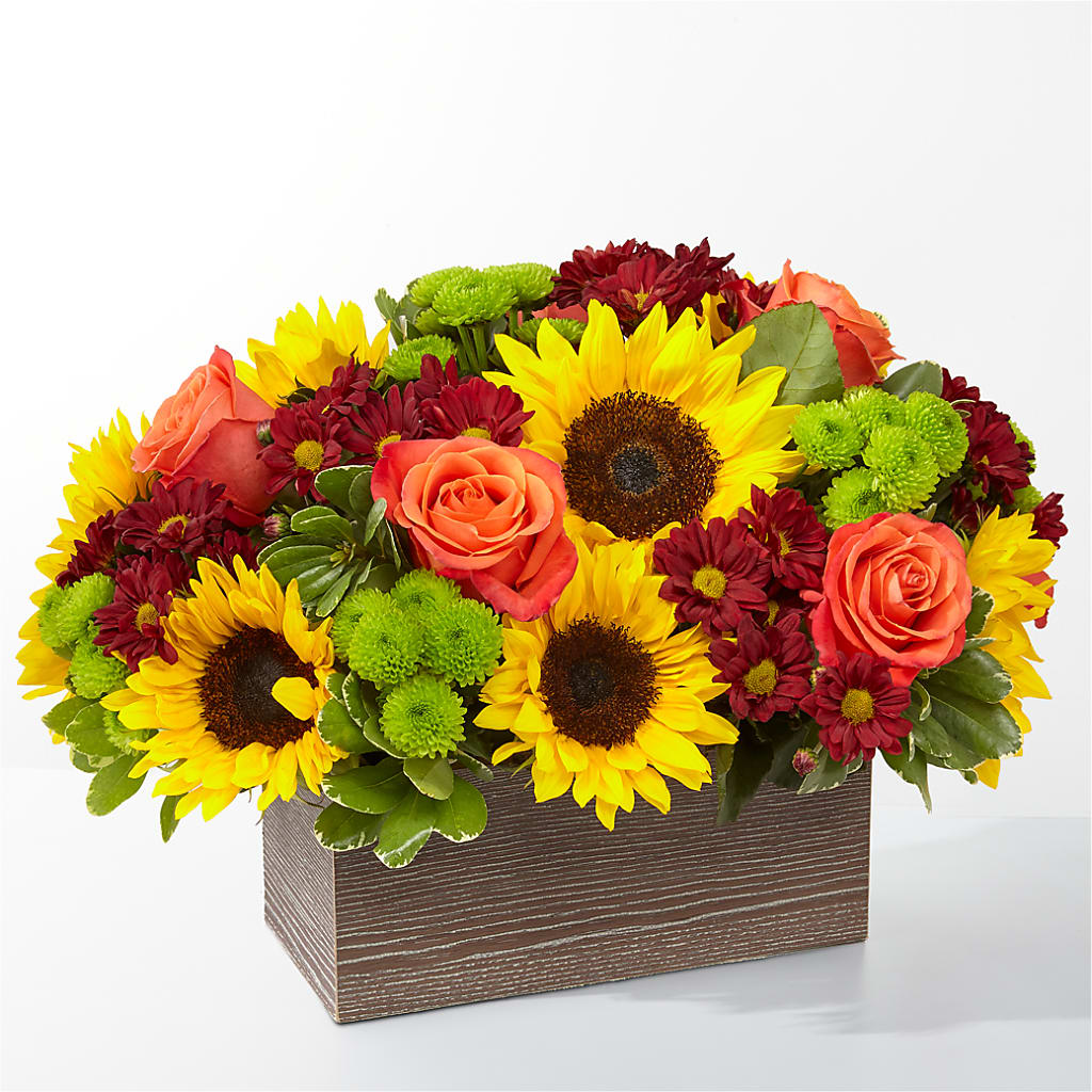 Happy Harvest Garden – Dynamic Flowers Of Royal Oak, Royal Oak MI