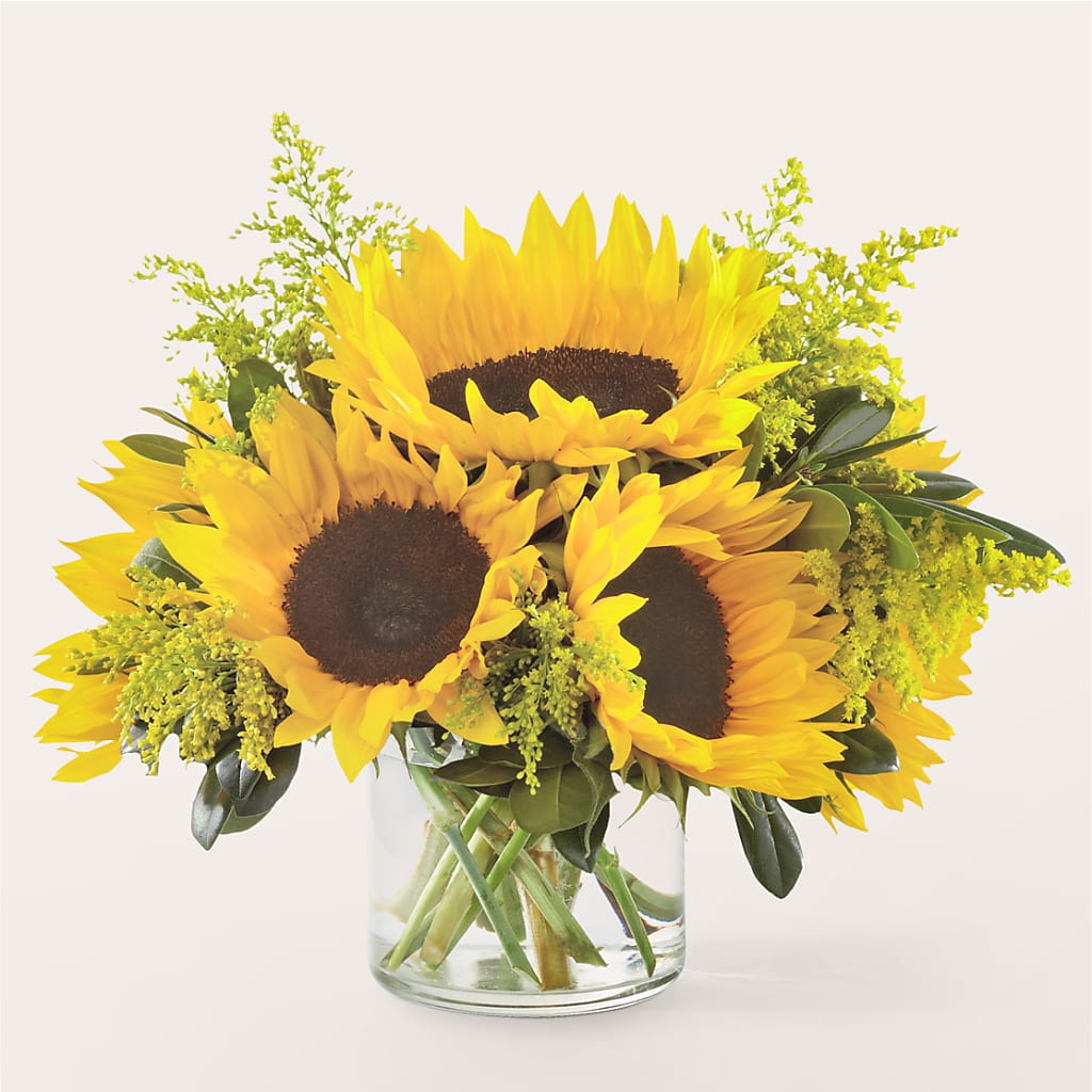 Beaming Sunflower Bouquet – Dynamic Flowers Of Royal Oak, Royal Oak MI
