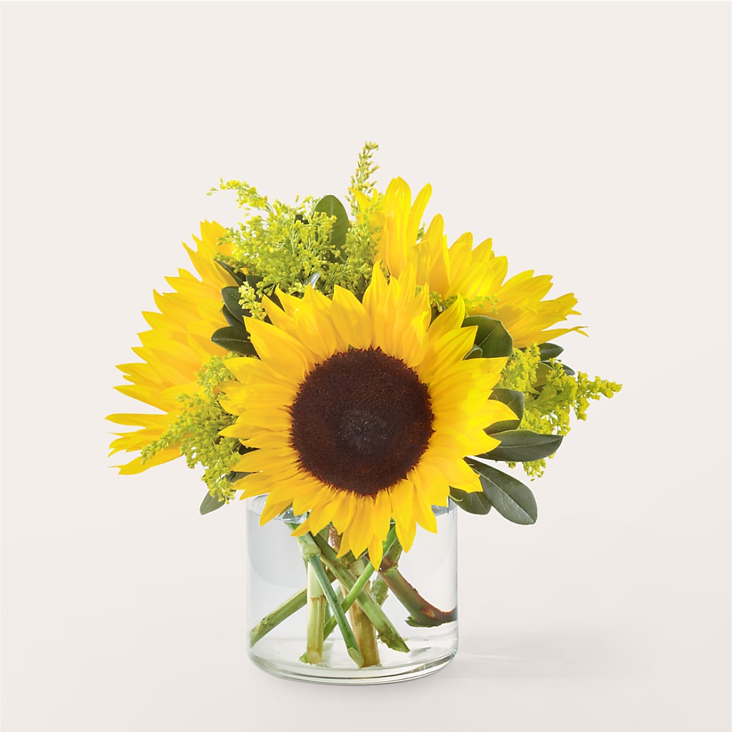 Beaming Sunflower Bouquet – Dynamic Flowers Of Royal Oak, Royal Oak MI