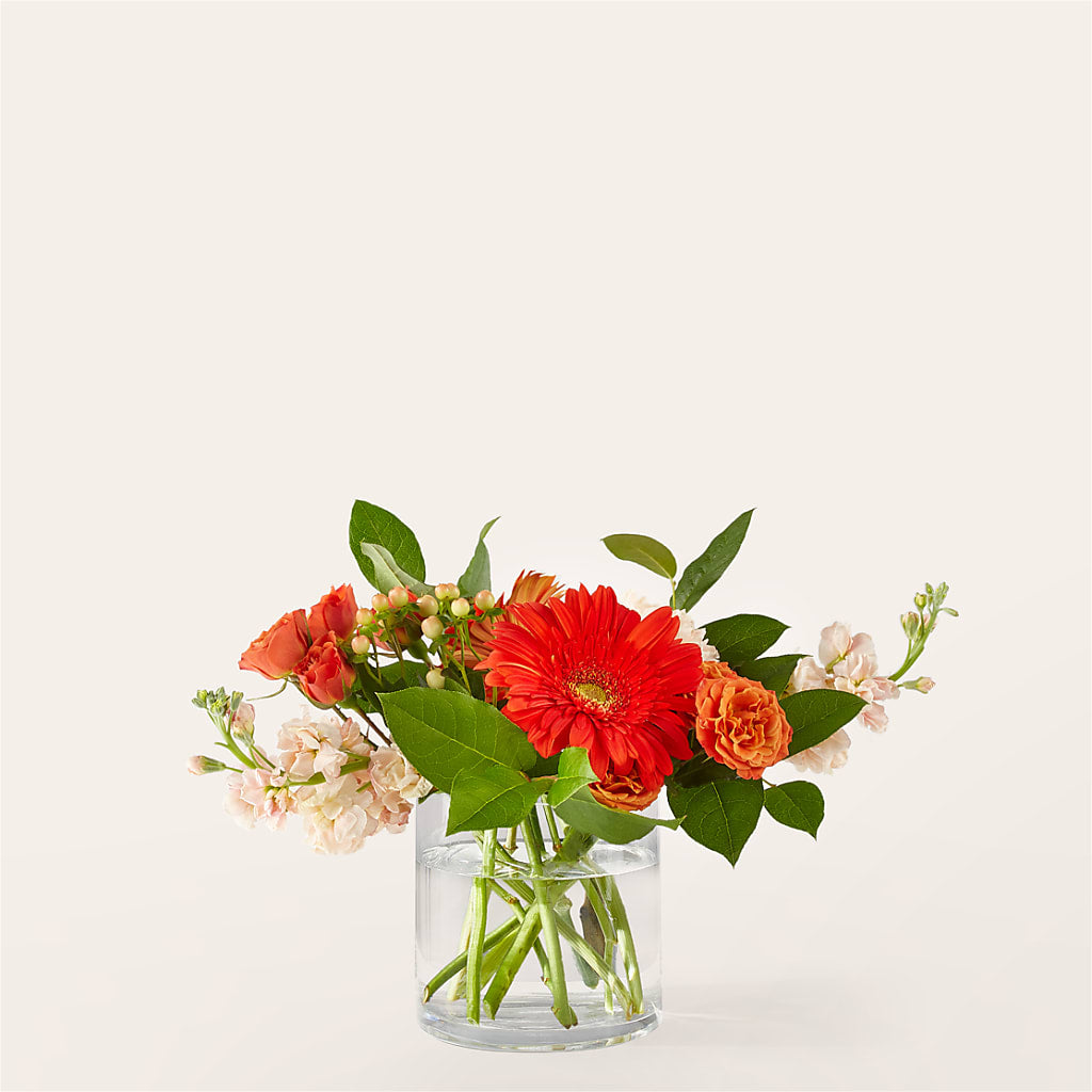 Paloma Please Bouquet – Dynamic Flowers Of Royal Oak, Royal Oak MI