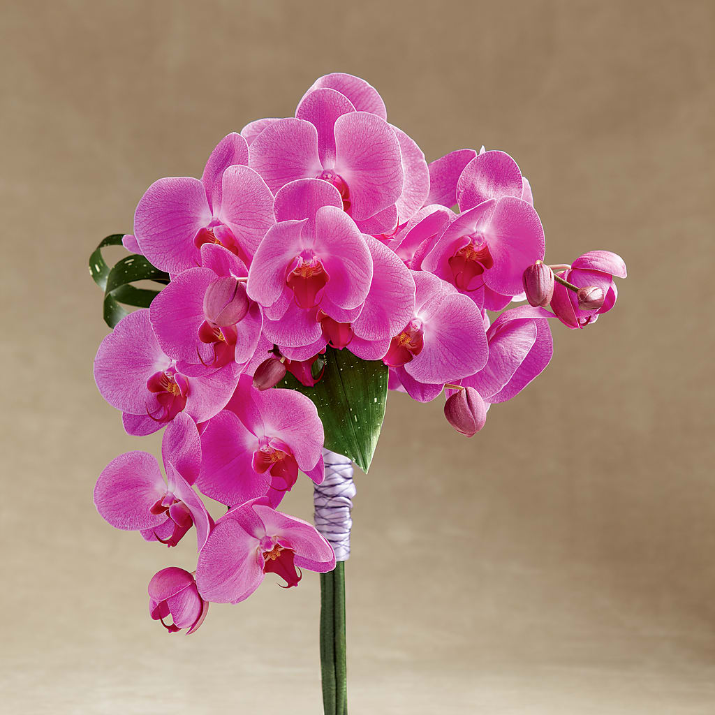 Glorious Bouquet – Dynamic Flowers Of Royal Oak, Royal Oak MI
