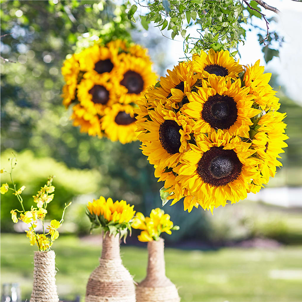 Sublime Garden Hanging Arrangement – Dynamic Flowers Of Royal Oak, Royal Oak MI