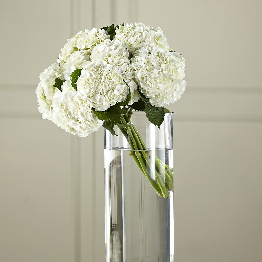 White Hydrangea Hand-Tied Bouquet – Dynamic Flowers Of Royal Oak, Royal Oak MI