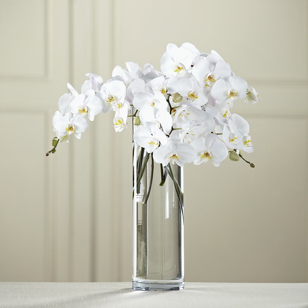 White Phalaenopsis Bouquet – Dynamic Flowers Of Royal Oak, Royal Oak MI