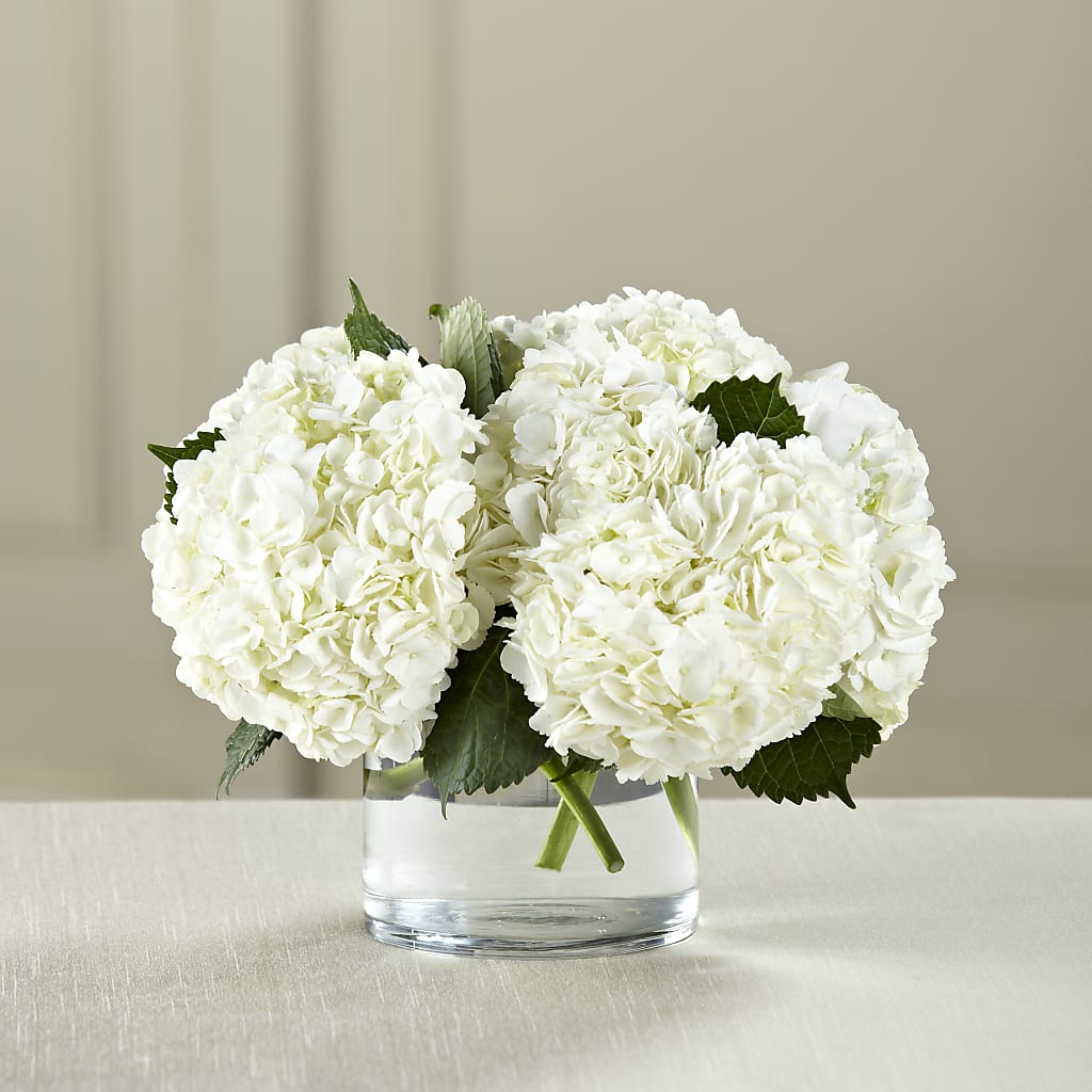 White Hydrangea Bouquet – Dynamic Flowers Of Royal Oak, Royal Oak MI