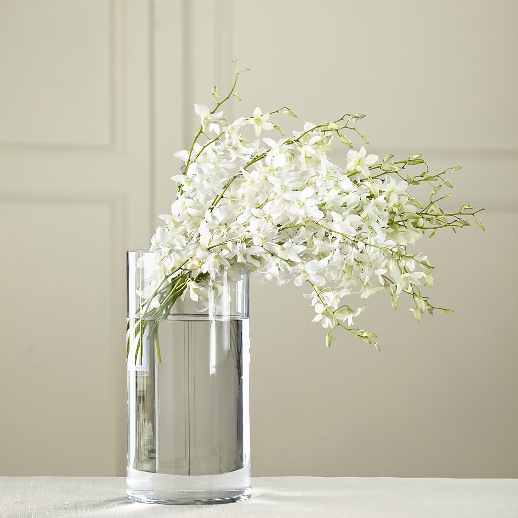 White Dendrobium Bouquet – Dynamic Flowers Of Royal Oak, Royal Oak MI