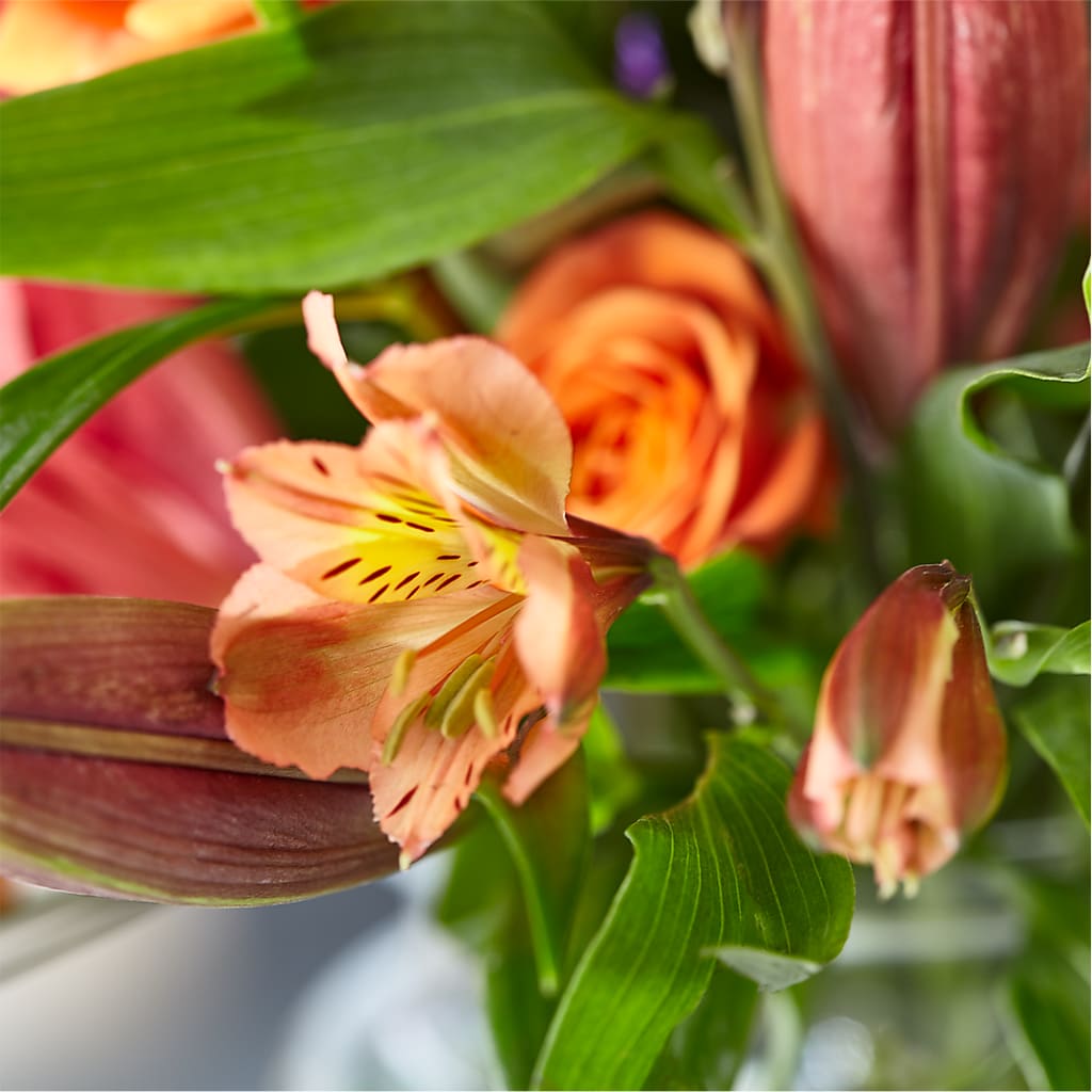Bold & Bright – A Florist Original –  Dynamic Flowers Of Royal Oak, Royal Oak MI