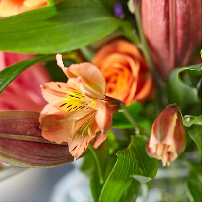 Bold & Bright – A Florist Original –  Dynamic Flowers Of Royal Oak, Royal Oak MI