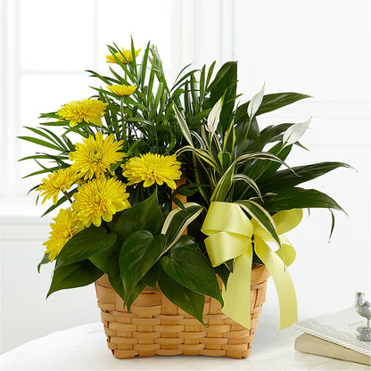 Loving Light Dishgarden –  Dynamic Flowers Of Royal Oak, Royal Oak MI