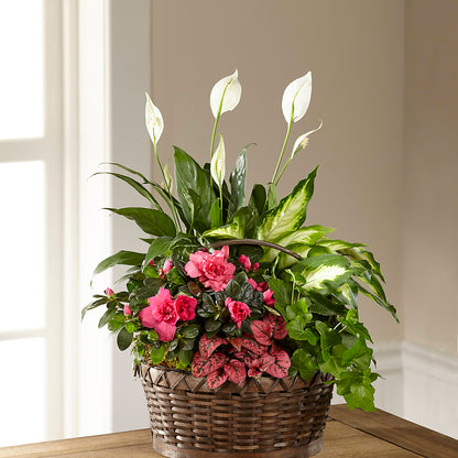 Dream in Pink Dishgarden –  Dynamic Flowers Of Royal Oak, Royal Oak MI