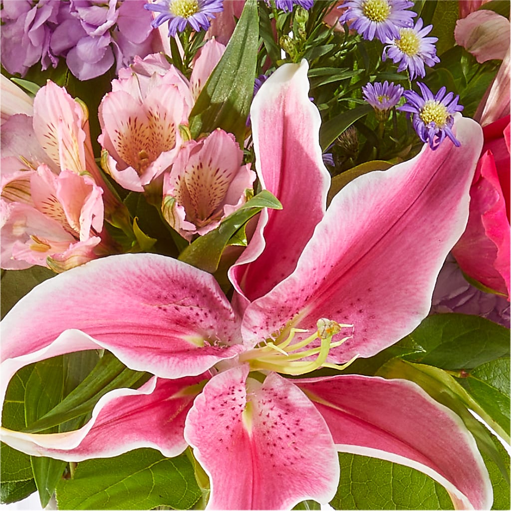 Written in the Stars Bouquet –  Dynamic Flowers Of Royal Oak, Royal Oak MI