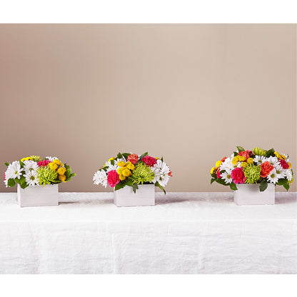 Sorbet Bouquet –  Dynamic Flowers Of Royal Oak, Royal Oak MI
