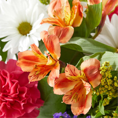 Oopsie Daisy Box Bouquet –  Dynamic Flowers Of Royal Oak, Royal Oak MI