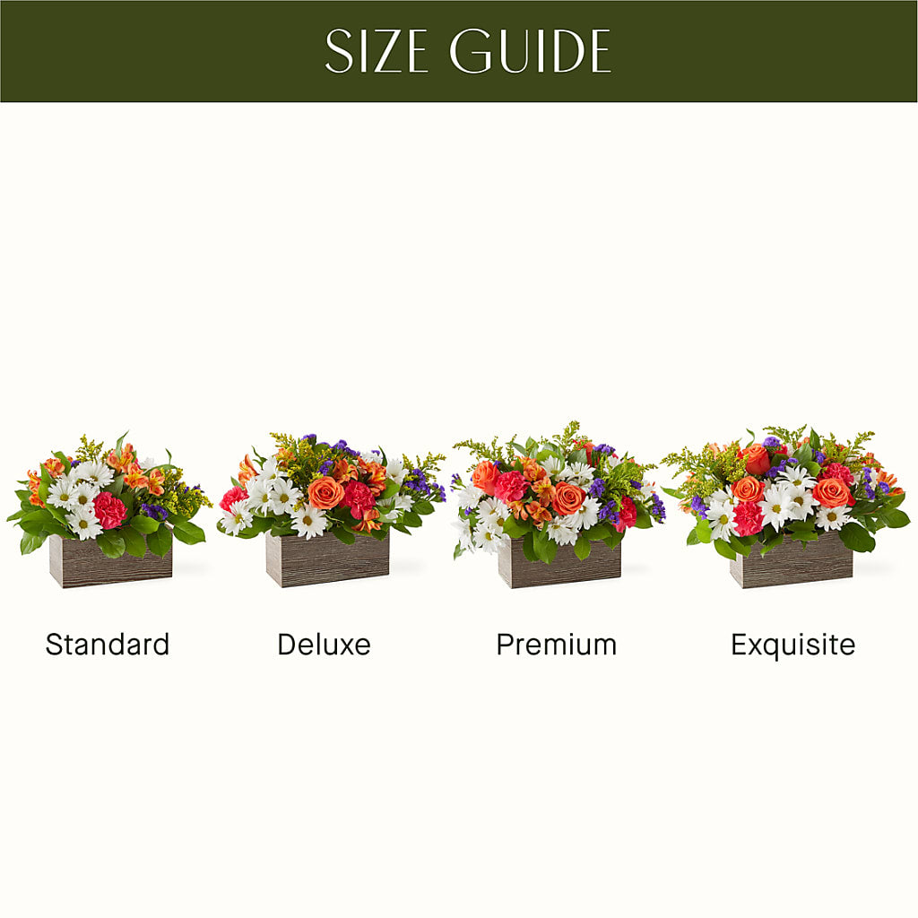 Oopsie Daisy Box Bouquet –  Dynamic Flowers Of Royal Oak, Royal Oak MI