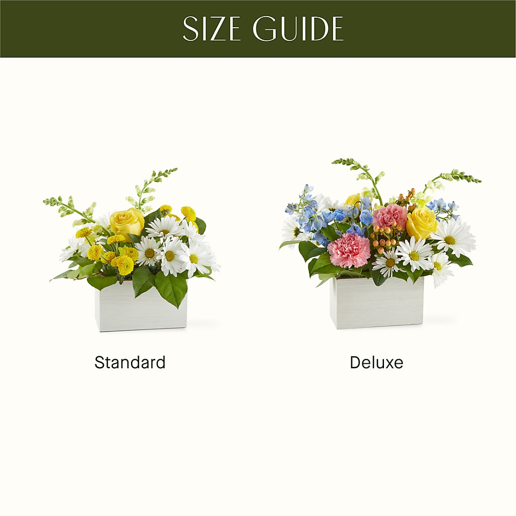 Sun Salutation Box Bouquet –  Dynamic Flowers Of Royal Oak, Royal Oak MI