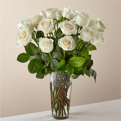 Long Stem White Rose Bouquet –  Dynamic Flowers Of Royal Oak, Royal Oak MI