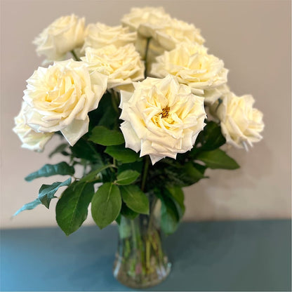 Long Stem Yellow Rose Bouquet –  Dynamic Flowers Of Royal Oak, Royal Oak MI