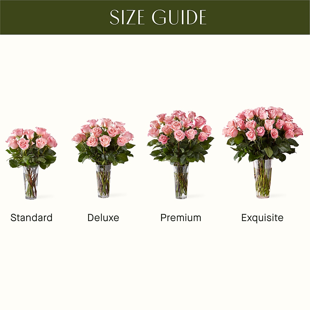 Long Stem Pink Rose Bouquet –  Dynamic Flowers Of Royal Oak, Royal Oak MI