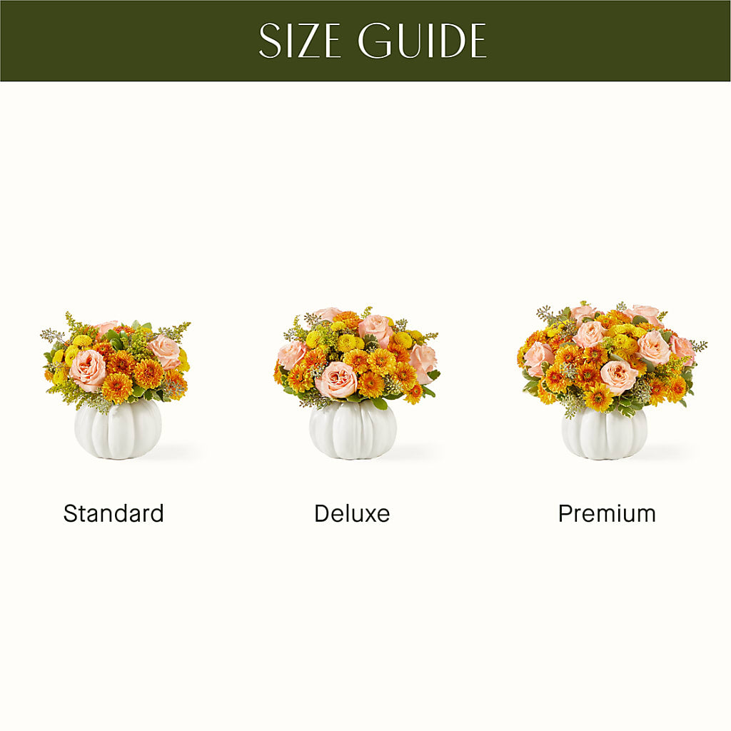 Peachy Pumpkin –  Dynamic Flowers Of Royal Oak, Royal Oak MI