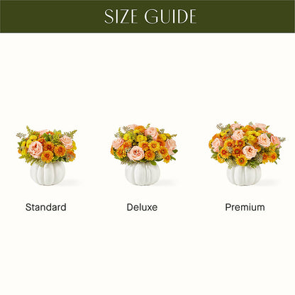 Peachy Pumpkin –  Dynamic Flowers Of Royal Oak, Royal Oak MI