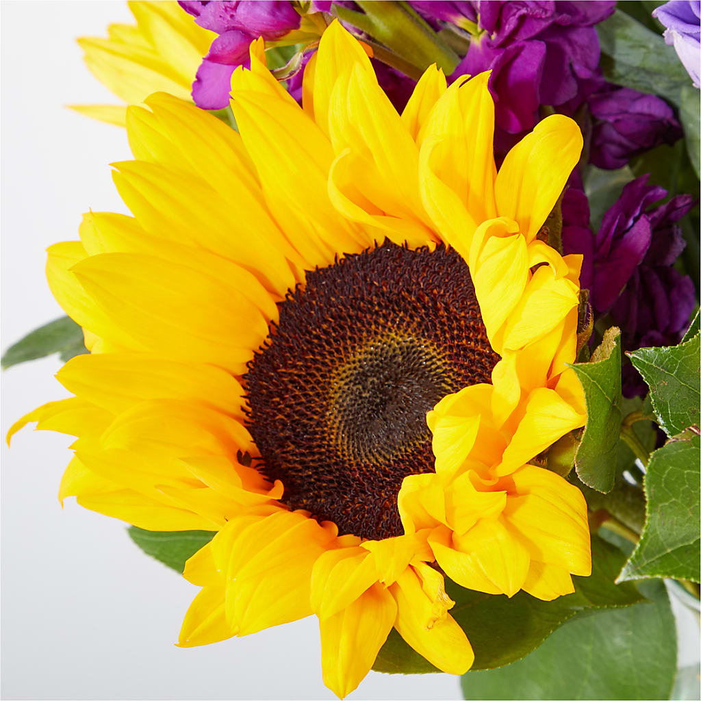Catching Rays Bouquet –  Dynamic Flowers Of Royal Oak, Royal Oak MI