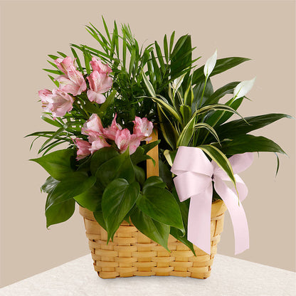 Living Spirit Dishgarden –  Dynamic Flowers Of Royal Oak, Royal Oak MI