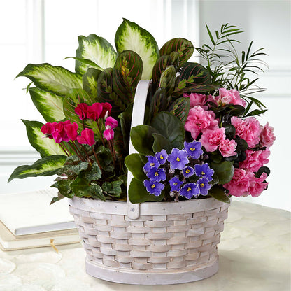 Peaceful Garden Planter –  Dynamic Flowers Of Royal Oak, Royal Oak MI