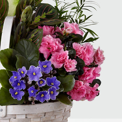 Peaceful Garden Planter –  Dynamic Flowers Of Royal Oak, Royal Oak MI