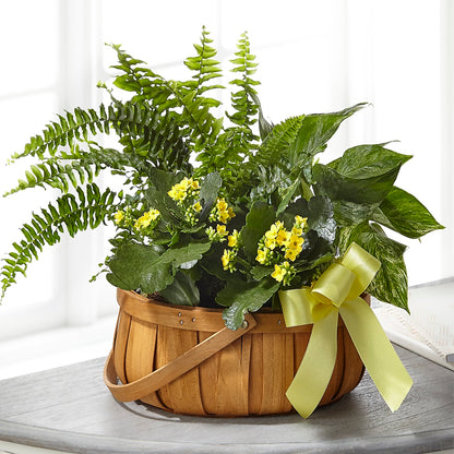 Always Dear Dishgarden –  Dynamic Flowers Of Royal Oak, Royal Oak MI