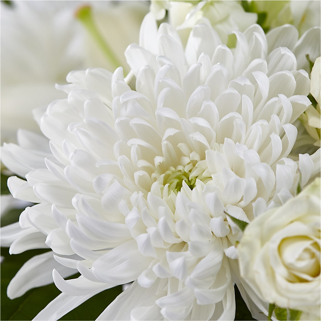 Classic Ivory – A Florist Original –  Dynamic Flowers Of Royal Oak, Royal Oak MI