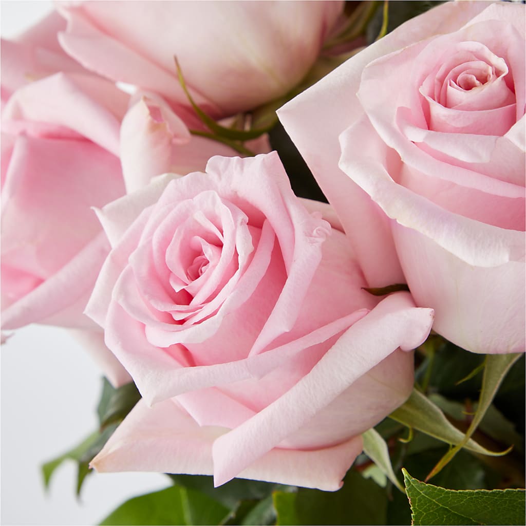 Picture Perfect Pink Rose Bouquet –  Dynamic Flowers Of Royal Oak, Royal Oak MI
