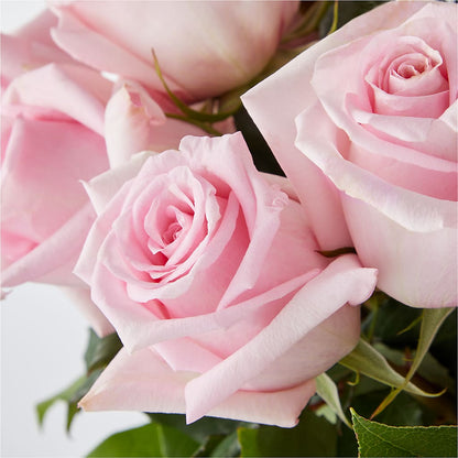 Picture Perfect Pink Rose Bouquet –  Dynamic Flowers Of Royal Oak, Royal Oak MI