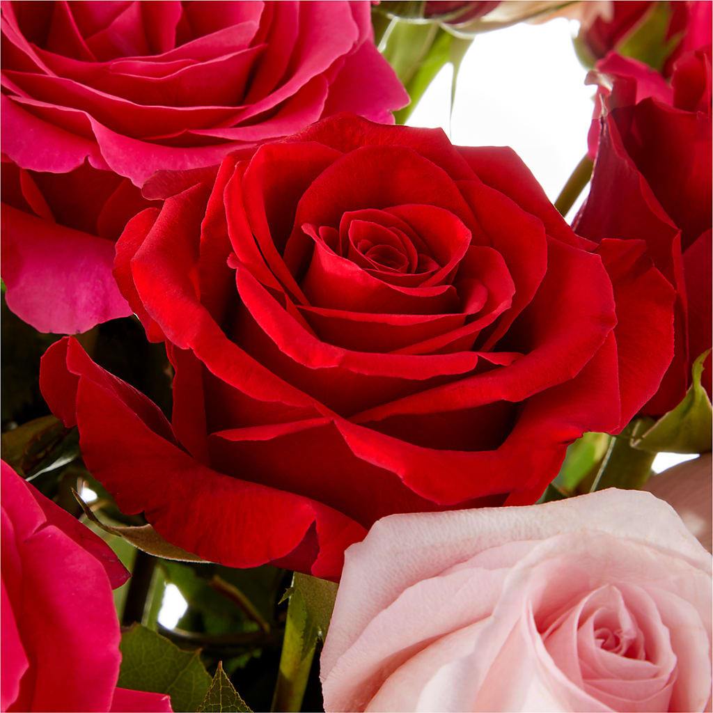 Love Notes Rose Bouquet –  Dynamic Flowers Of Royal Oak, Royal Oak MI