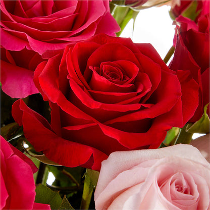 Love Notes Rose Bouquet –  Dynamic Flowers Of Royal Oak, Royal Oak MI