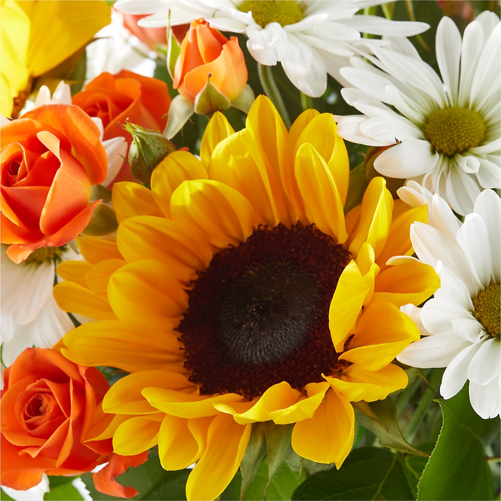 Sun-drenched Blooms Bouquet –  Dynamic Flowers Of Royal Oak, Royal Oak MI