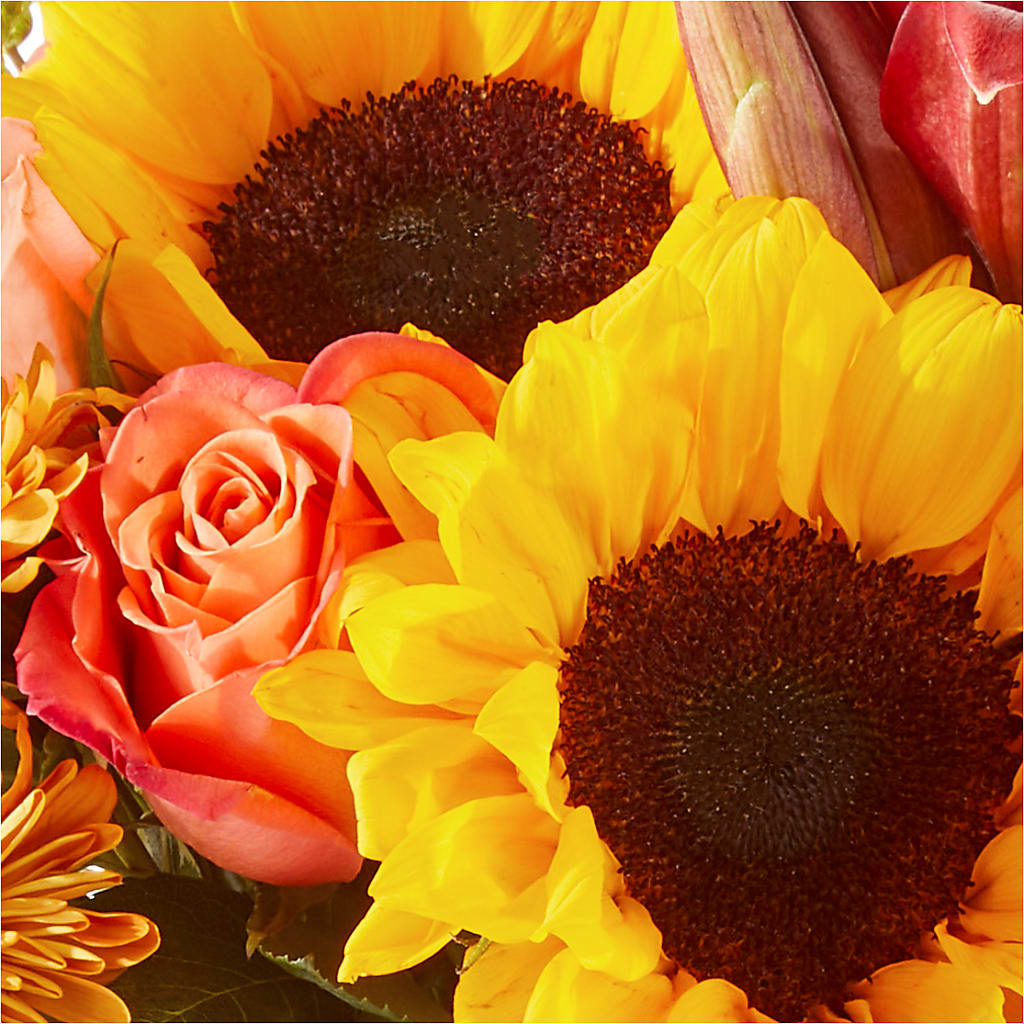 Acorn Lane Bouquet –  Dynamic Flowers Of Royal Oak, Royal Oak MI