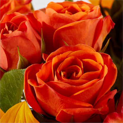 Picnic in the Park Bouquet –  Dynamic Flowers Of Royal Oak, Royal Oak MI