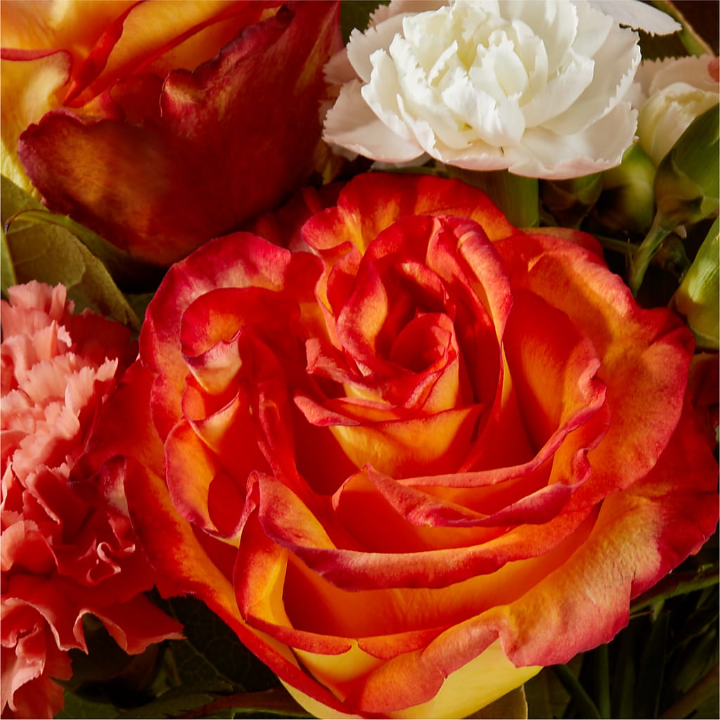Apricot Glow Bouquet –  Dynamic Flowers Of Royal Oak, Royal Oak MI