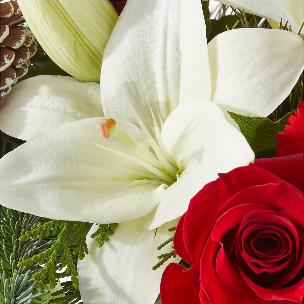 Oh So Jolly Bouquet –  Dynamic Flowers Of Royal Oak, Royal Oak MI
