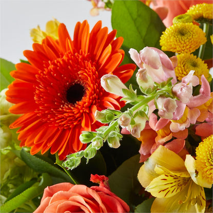 Autumn Sunshine Bouquet –  Dynamic Flowers Of Royal Oak, Royal Oak MI