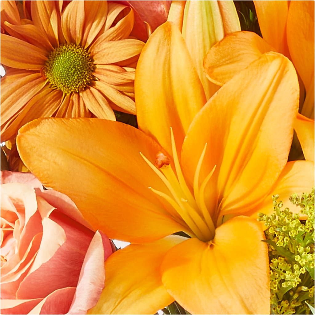 Harvest Hayride Bouquet –  Dynamic Flowers Of Royal Oak, Royal Oak MI