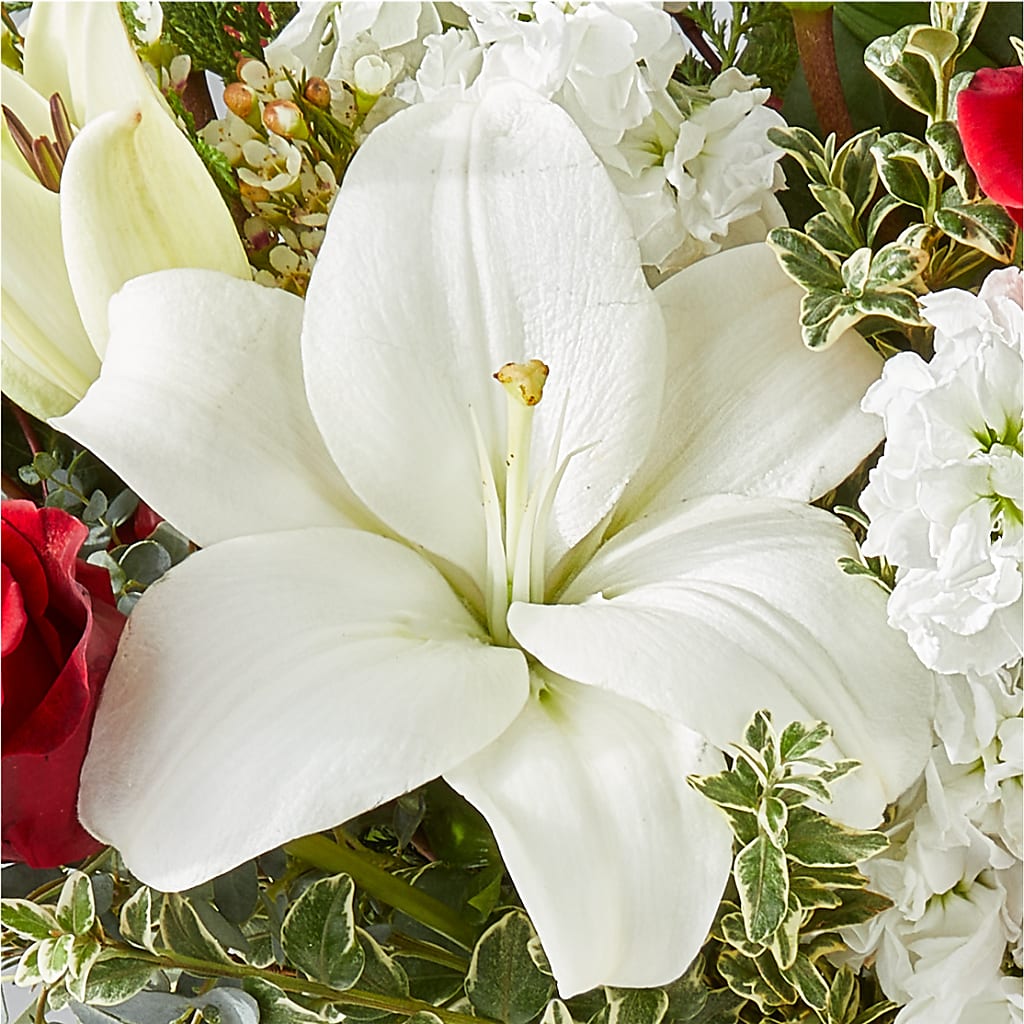 Twinkle Lights Bouquet –  Dynamic Flowers Of Royal Oak, Royal Oak MI