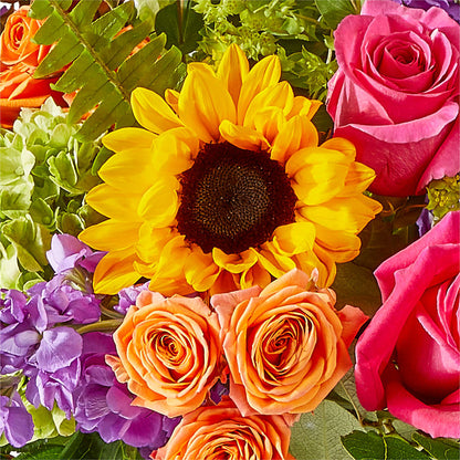 Vibrant Greetings Bouquet –  Dynamic Flowers Of Royal Oak, Royal Oak MI