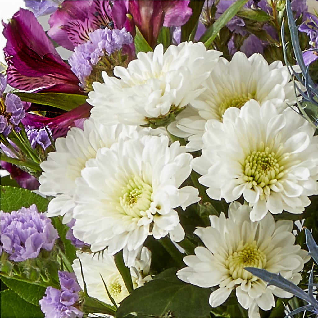 Shooting Star Bouquet –  Dynamic Flowers Of Royal Oak, Royal Oak MI