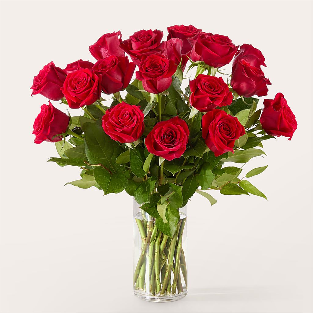 The One Red Rose Bouquet –  Dynamic Flowers Of Royal Oak, Royal Oak MI