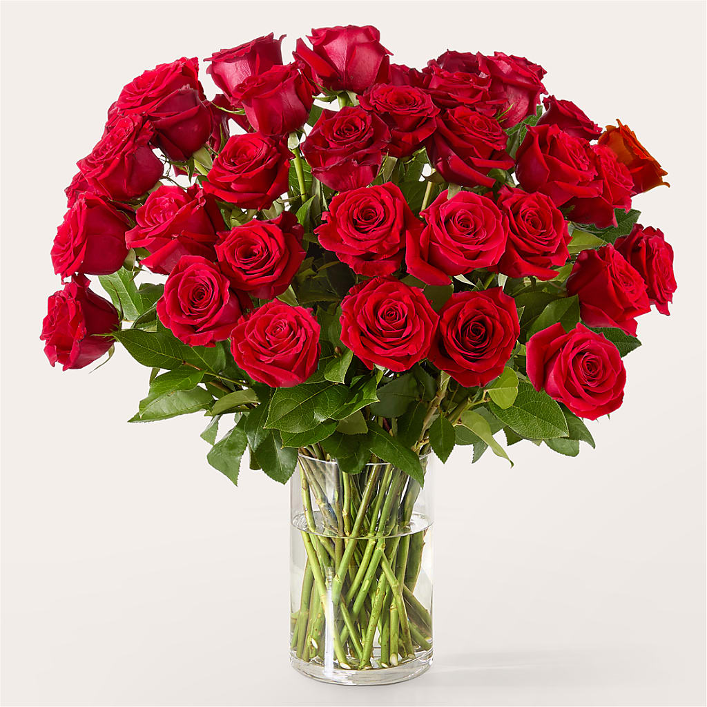 The One Red Rose Bouquet –  Dynamic Flowers Of Royal Oak, Royal Oak MI